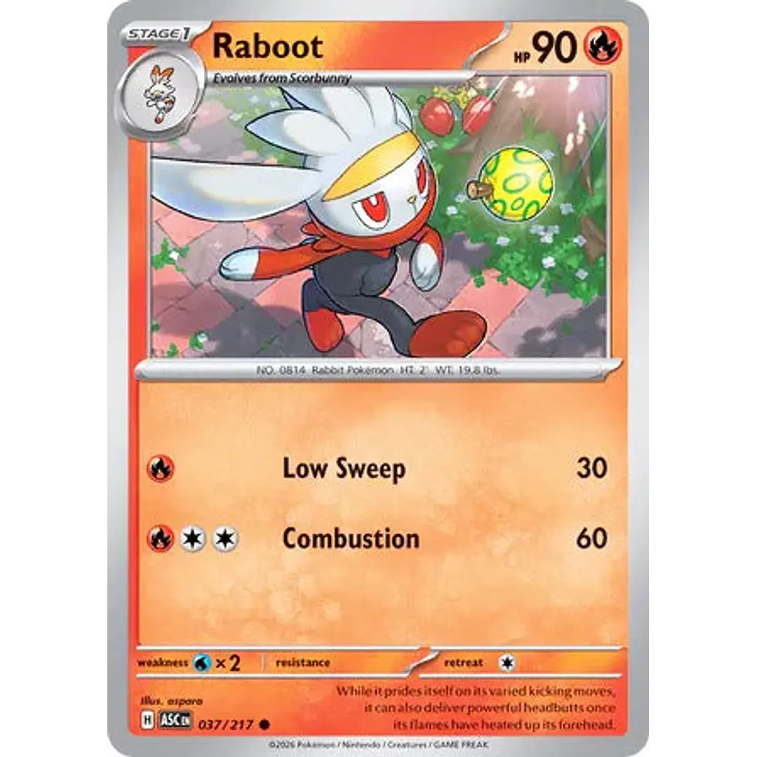 Raboot - 037/217 Ascended Heroes 1
