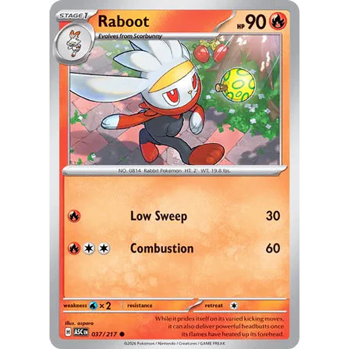 Raboot - 037/217 Ascended Heroes 1