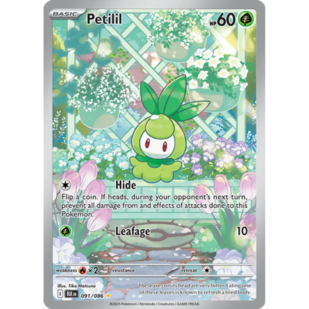 Petilil #91/86 Black Bolt 1