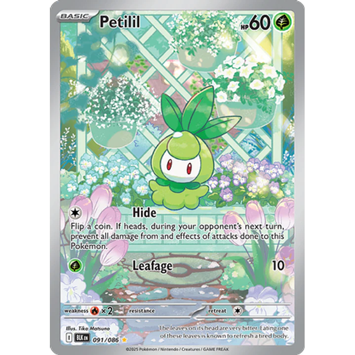 Petilil #91/86 Black Bolt 1
