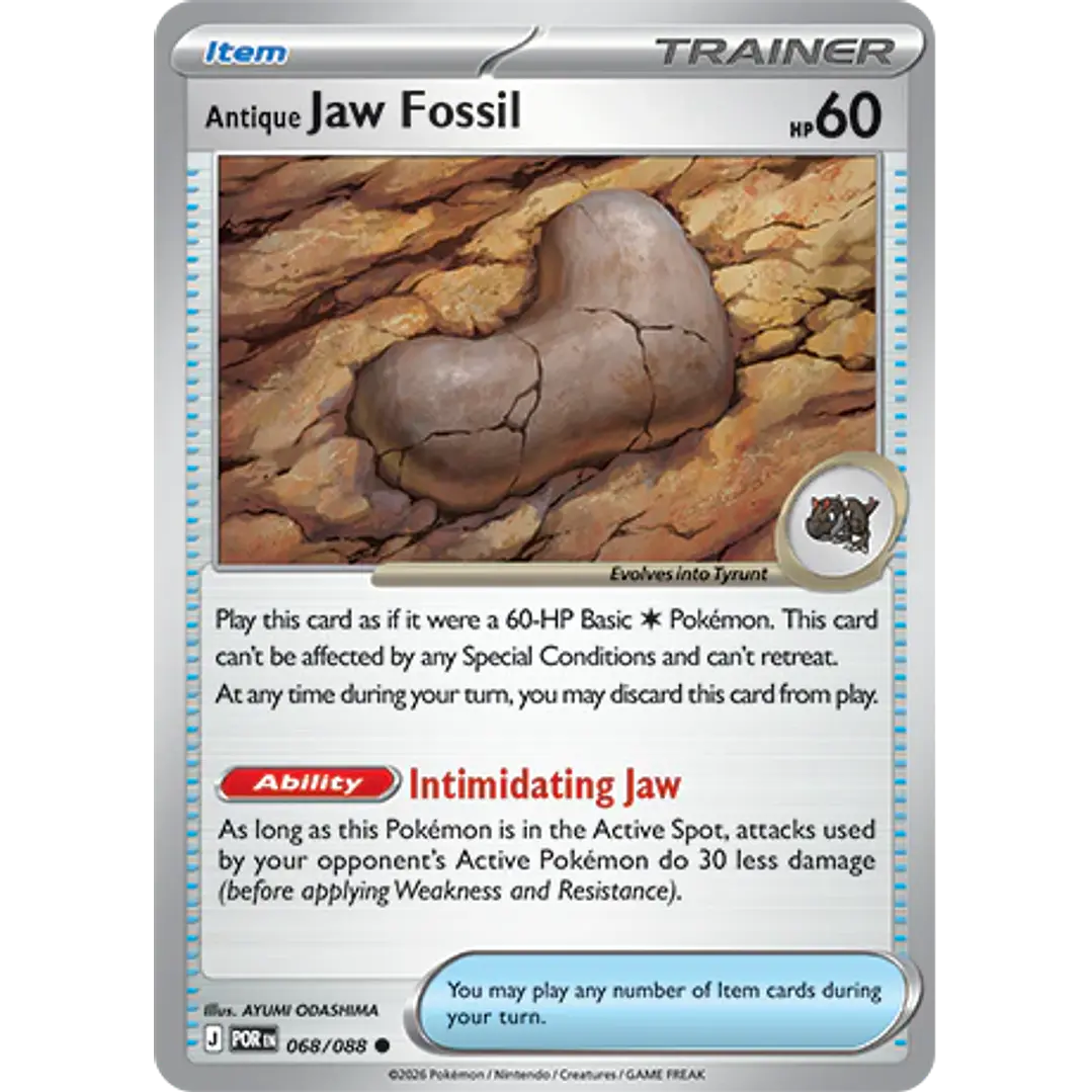 Antique Jaw Fossil #68/88 Perfect Order 1