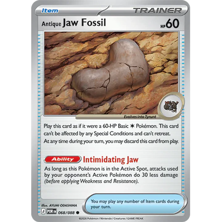 Antique Jaw Fossil #68/88 Perfect Order 1