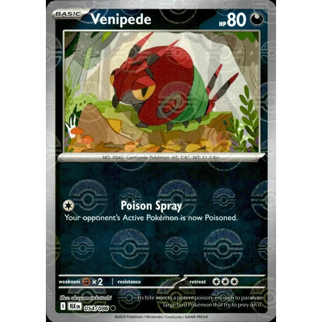 Venipede [Poke Ball] #54/86 Pokémon Black Bolt 1