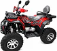 ATV DODGE 250 CC ARO 10 – Año 2026 | Automática - Miniatura 1