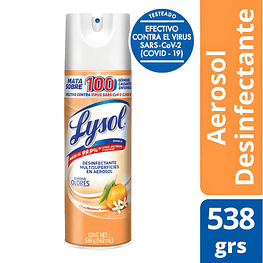 Desinfectante en Aerosol 538grs Citrus  - Lysol