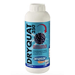Dryquat 250 (Amonio Cuaternario Concentrado) 1lt  - Anasac