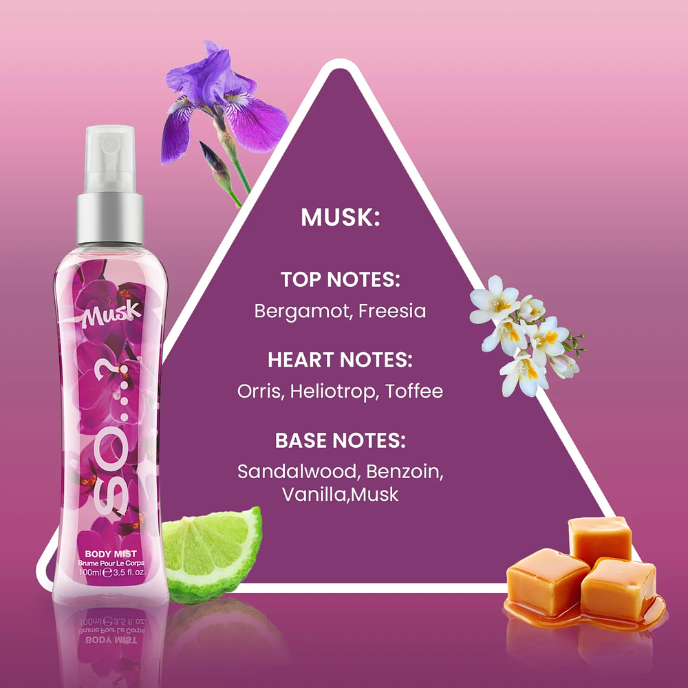 Body Mist Musk 100ml  - So