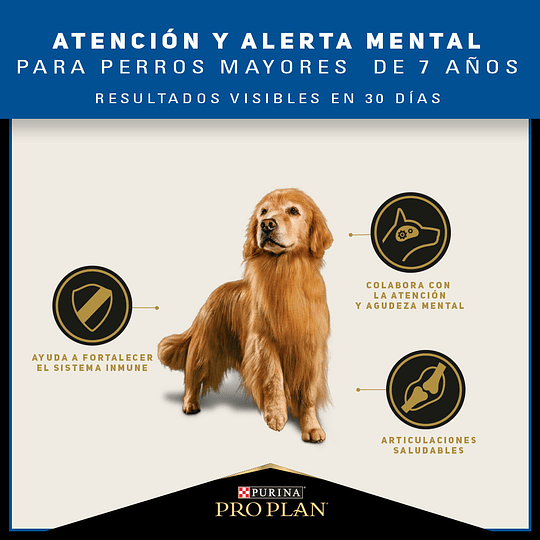 Proplan Perro Active Mind 7+ Razas Medianas y Grandes