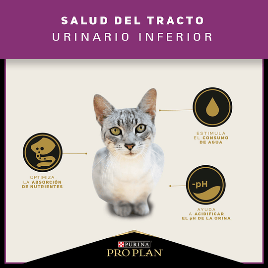 Proplan Gato Urinary