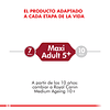 Royal Canin Medium Adulto 7+