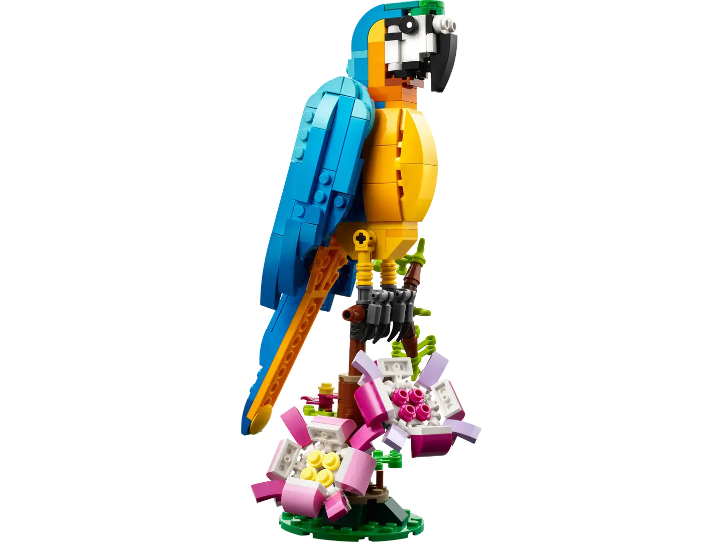 LEGO 31136: Loro Exótico 2