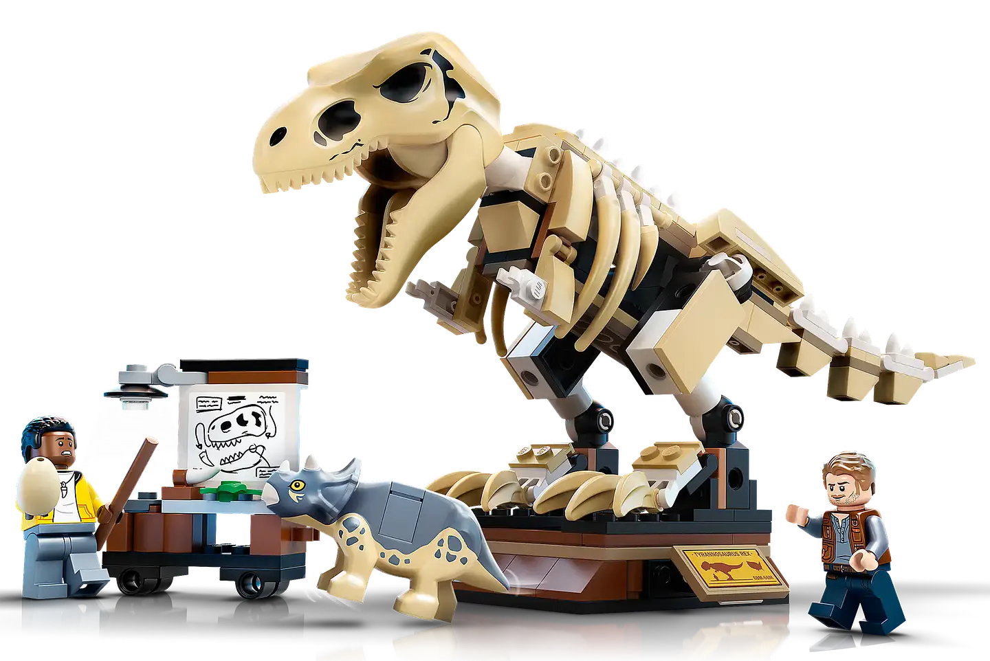 LEGO 76940: Exposición del Dinosaurio T. rex Fosilizado 2