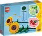 LEGO 40524: Girasoles - Miniatura 3