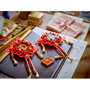 LEGO 40756: Nudos de la buena suerte