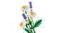 LEGO 11508: Margaritas - Miniatura 2