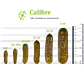 Pepinillos Dill - Miniatura 6