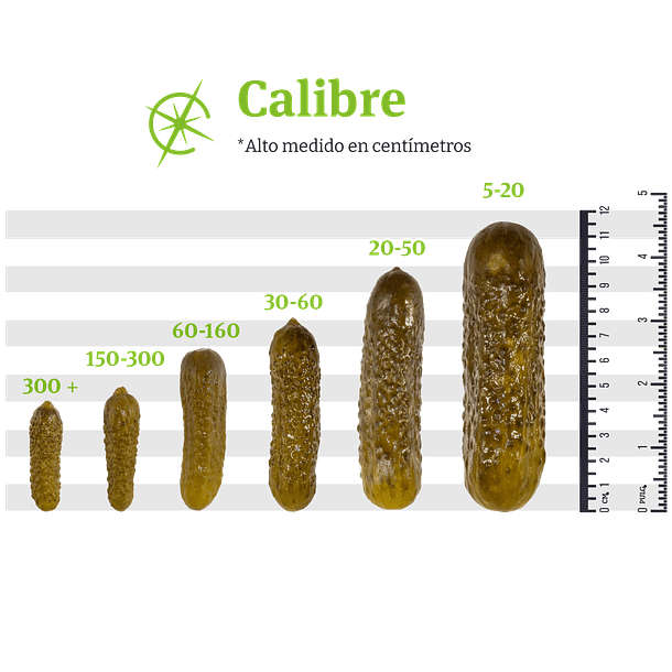 Pepinillos en Vinagre 5