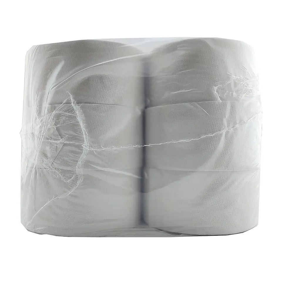 Papel higienico 300 mt 06 u 52309 pro una hoja rendipel 3