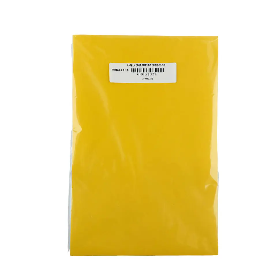 Papel de color oficio 75gr 250 hojas color surtido nacional 2