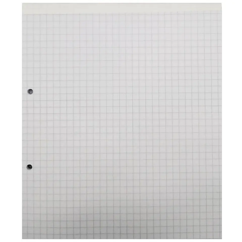 Block prepicado/perforado carta 80 hojas 7 mm Auca 2
