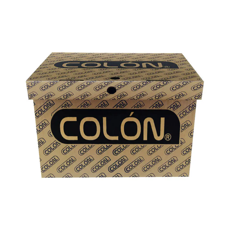 Caja archivo americana 260X315X420 mm colon 1