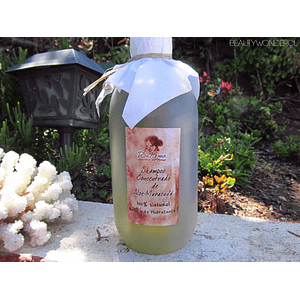Shampoo concentrado Aloe vera y Maracuya 100% natural Di Nonna