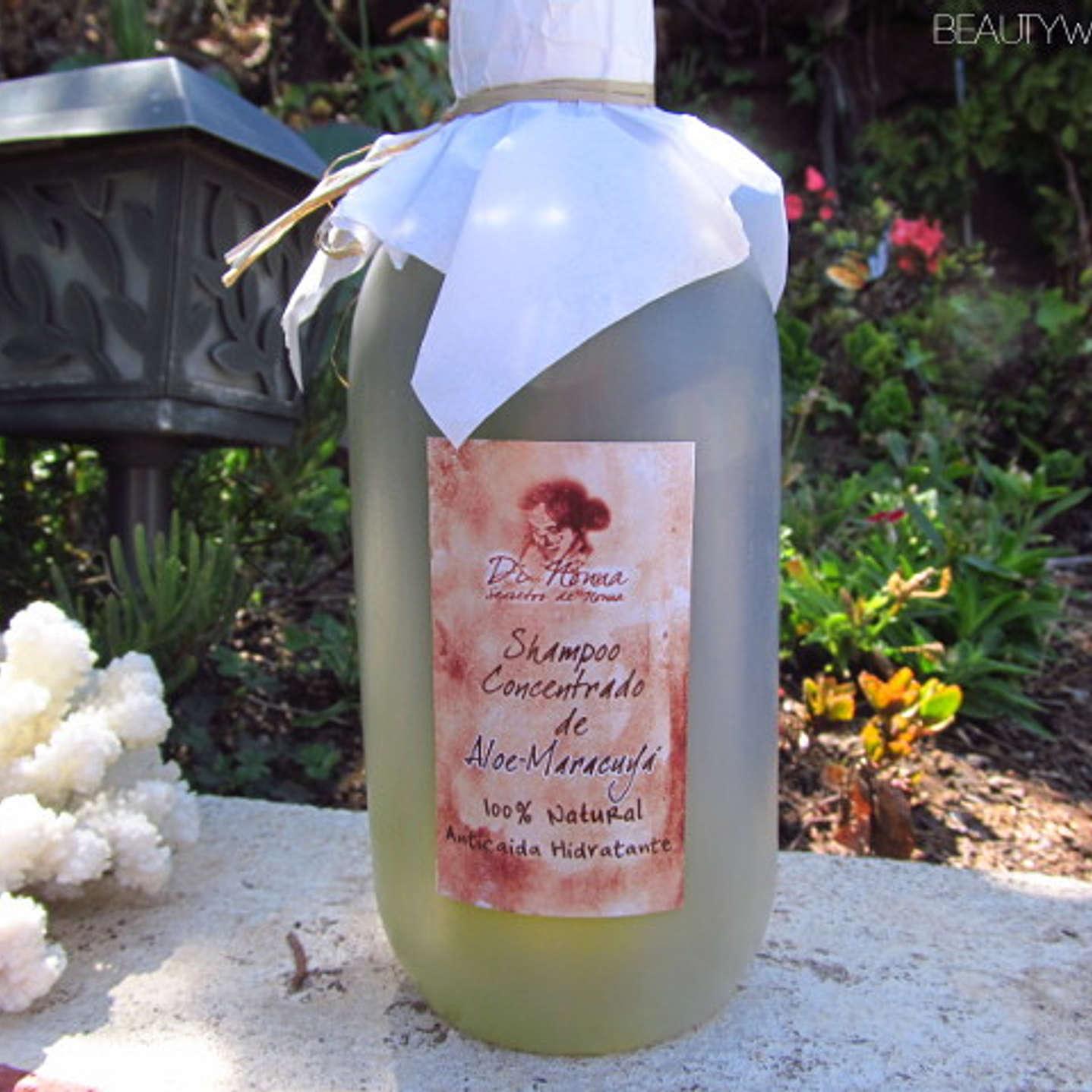 Shampoo concentrado Aloe vera y Maracuya 100%  500cc natural Di Nonna 1