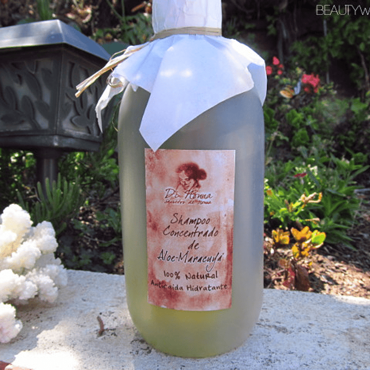 Shampoo concentrado Aloe vera y Maracuya 100%  500cc natural Di Nonna 1