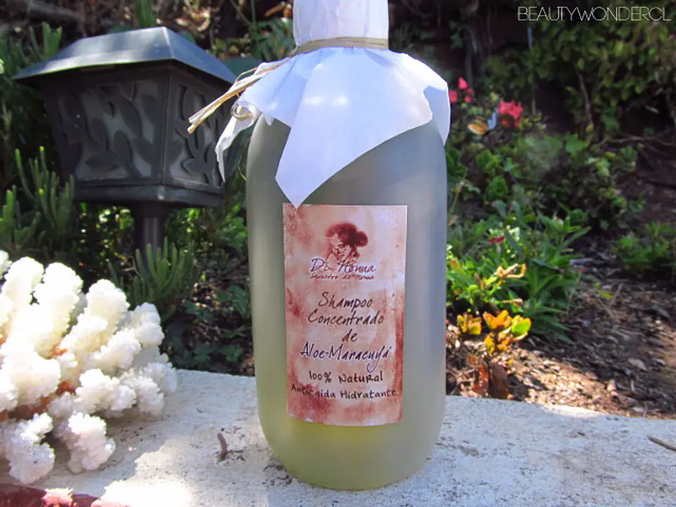 Di Nonna Concentrated Aloe Vera and Passion Fruit Shampoo 100% Natural 500cc 1