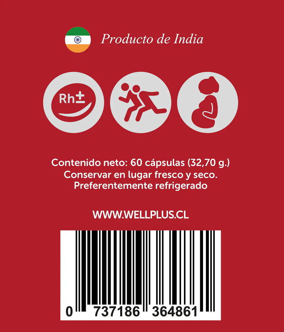 Iron Plus 60 Caps Wellplus 3