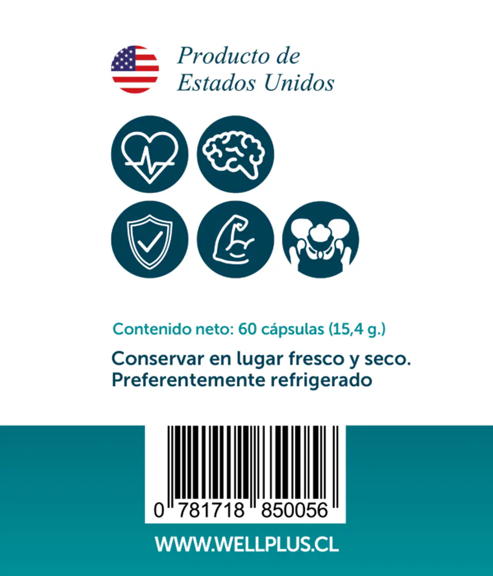 Vitamina D3 Colecalciferol 60 caps Wellplus 3