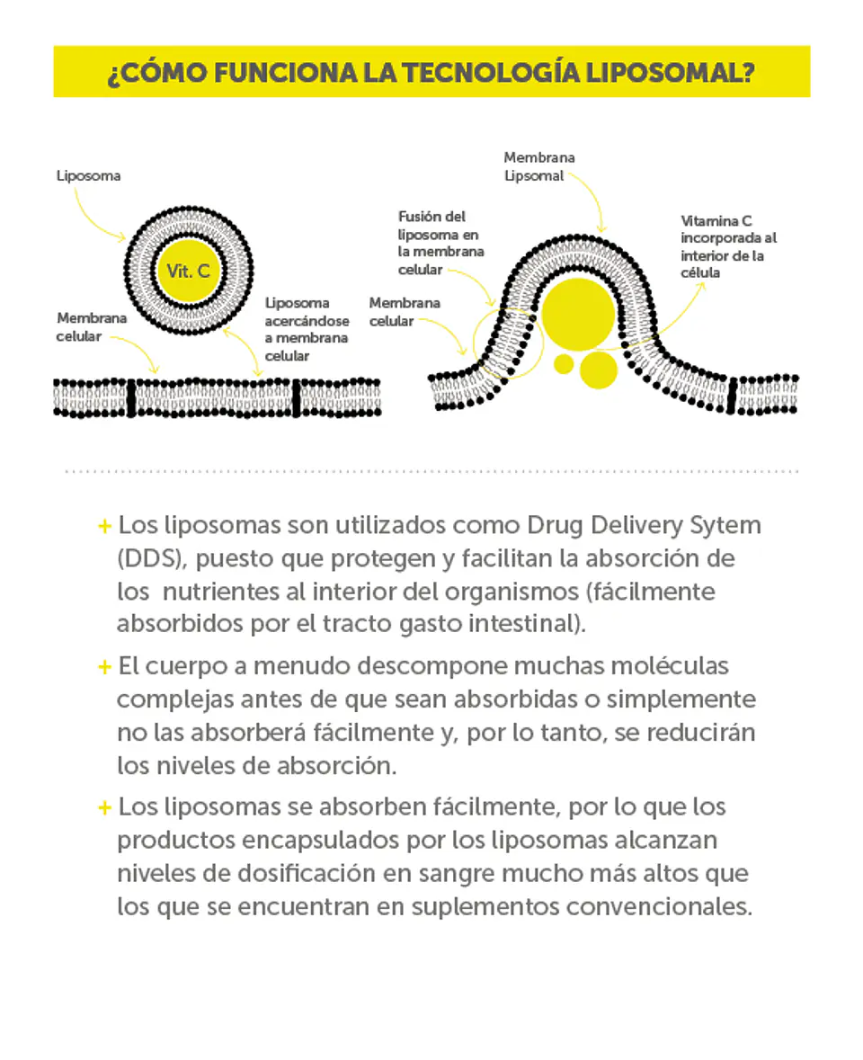 Vitamina C Plus Liposomal 90 cápsulas  Wellplus 5