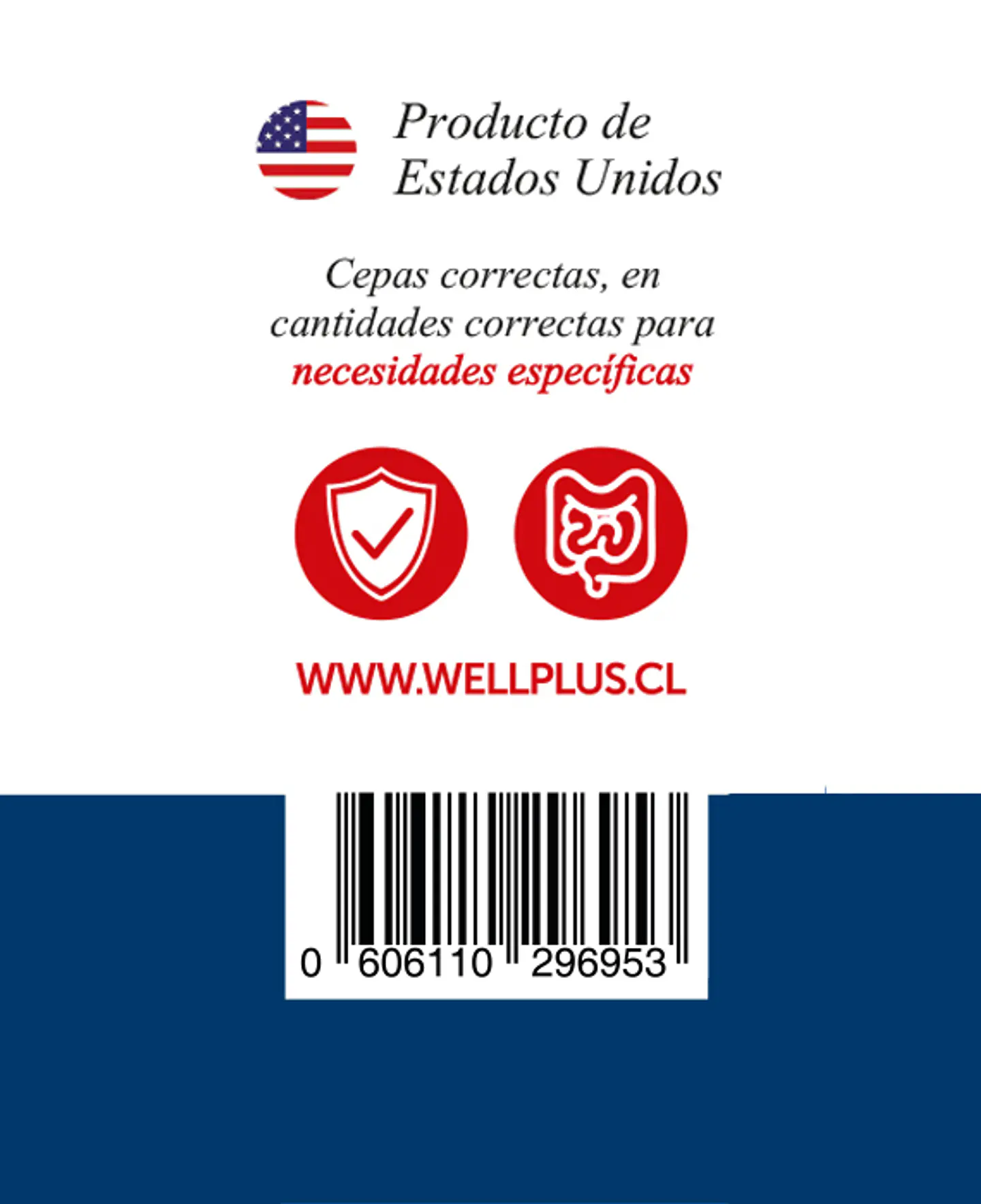 Probiotic Plus 80Billions 60 Refrigerated Capsules Wellplus 3