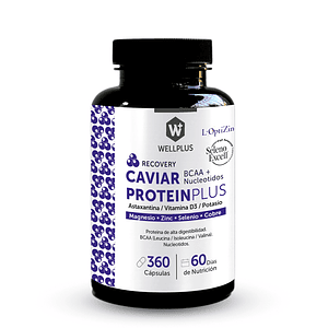 Vitamina Caviar protein plus Wellplus