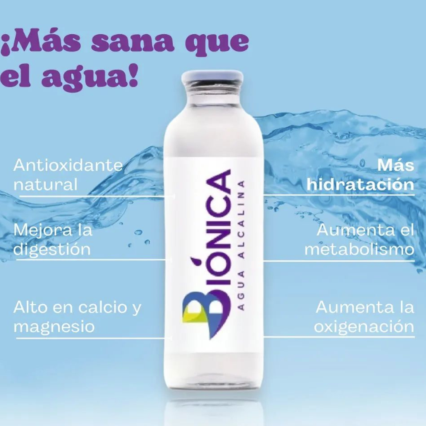 Agua biónica botella 1 Litro 2