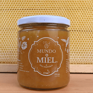 Miel Multifloral Nativa 550 grs Mundo miel