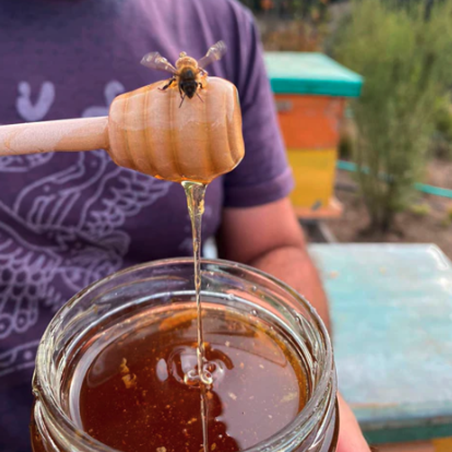 Miel Multifloral Nativa 950 grs Mundo miel 1