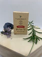 Floresencia - Aceite esencial Romero 5ml - thumbnail 2