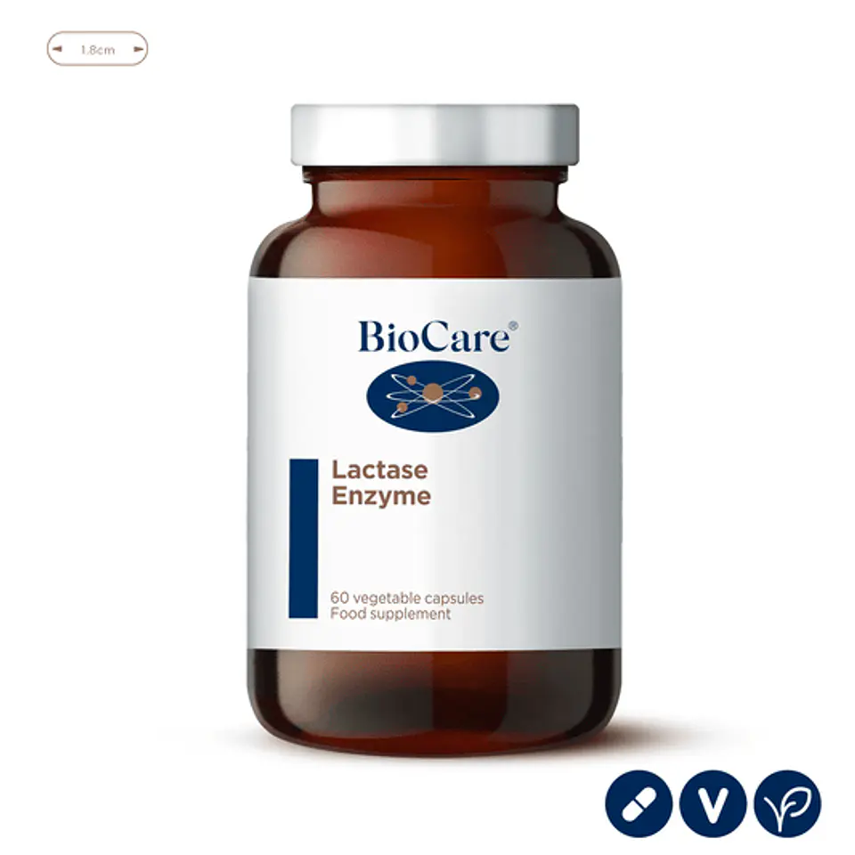 Lactasa - Enzimas Digestivas - 60 cápsulas  1