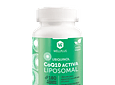 CoQ10 Activa Liposomal 180 cápsulas Wellplus