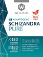 Schizandra Pure 180 cápsulas Wellplus - Miniatura 3