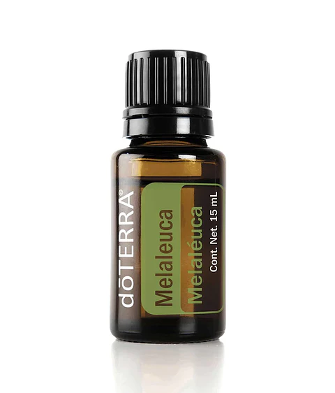 Aceites esenciales Tea Tree ( Melaléuca - Árbol del té) 15 ml doTERRA