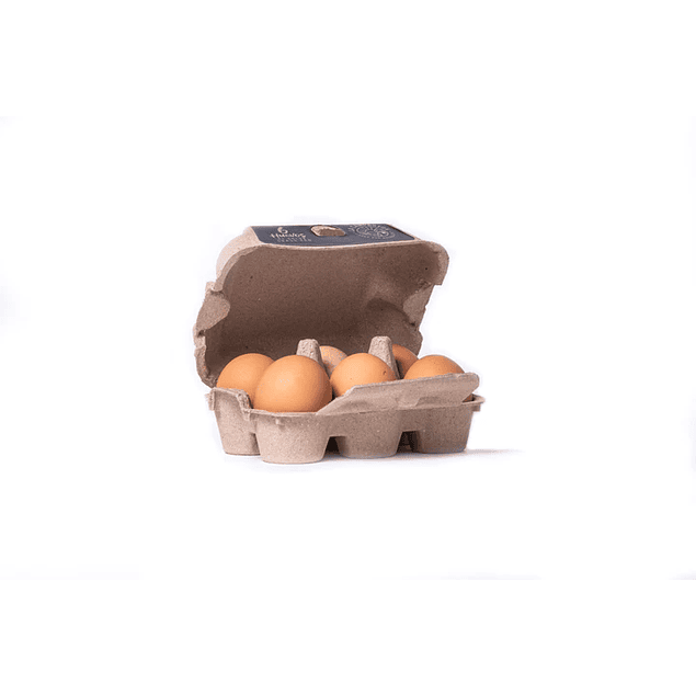 Huevos de gallina libre 6u - La campestre 