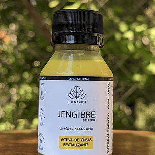 Eden shot  JENGIBRE Limón + Manzana 80ml 