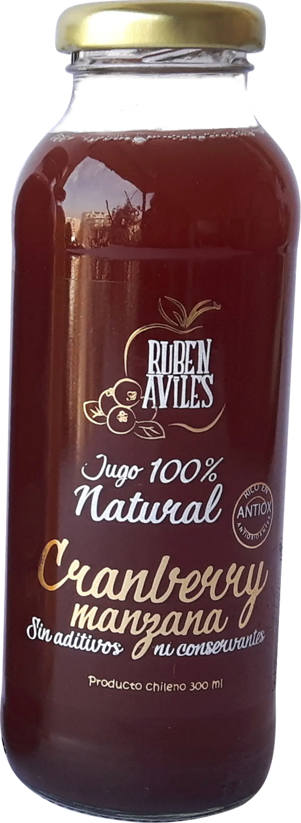Ruben Aviles - Jugo 100% natural Cranberry y Manzana 300ml 1