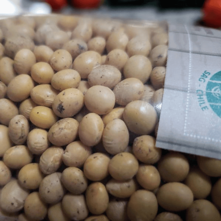 El Manzano - Poroto Soya Orgánico 1 Kg 2