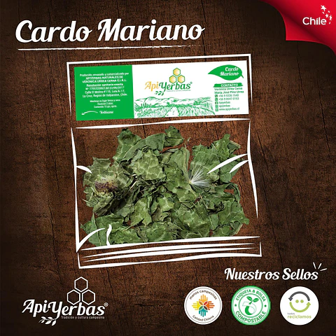 Cardo Mariano 15Gr Apiyerbas