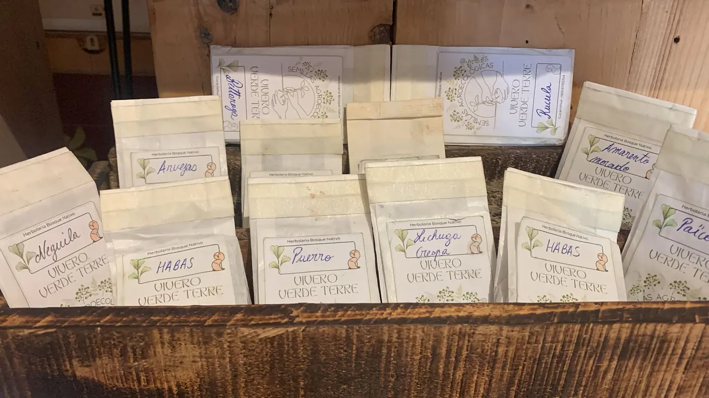 Bosque Nativo - Semillas cultivo Organicos Variedad   1