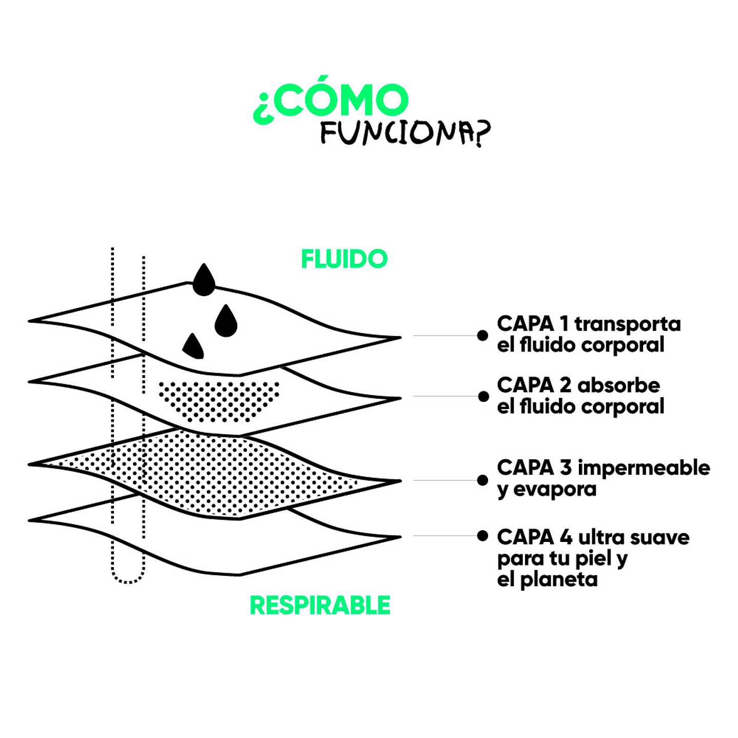 Bloody Green - Calzón Menstrual Ecólogico Tipo Bikini 3