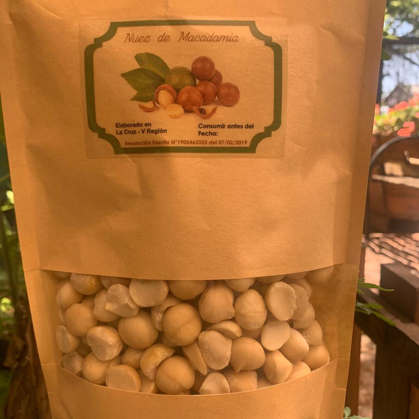 Nuez de Macadamia 500g 1